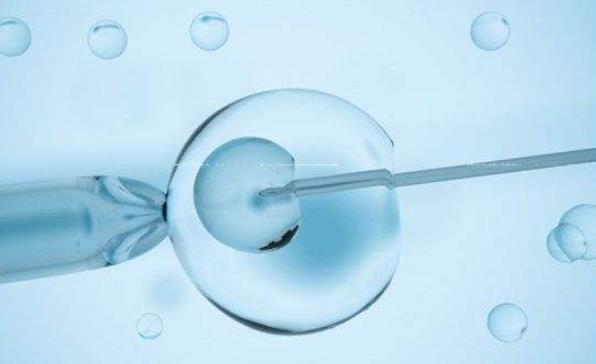 两个卵细胞可以做试管婴儿人工合成胚胎孩子吗