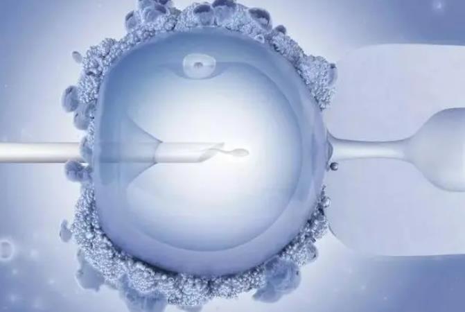 输卵管粘连做手术还是试管婴儿，绝经期可以做试管婴儿吗