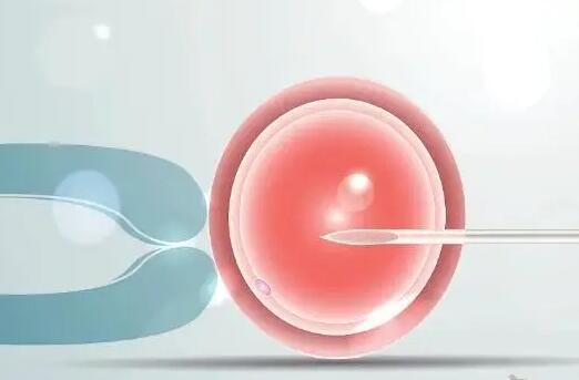 试管取卵之前打促排针很重要一般打2-5针左右能增加排卵几率
