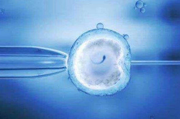试管婴儿胚胎移植不着床一般多久会正常来月经