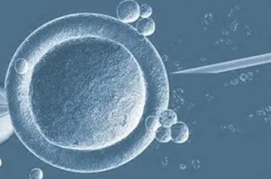 试管二代比一代配成胚胎概率高吗二代技术提高配成胚胎率