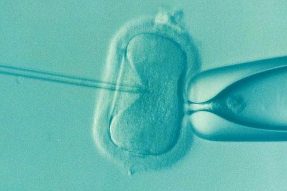 用冷冻做试管婴儿会影响胚胎移植成功率吗